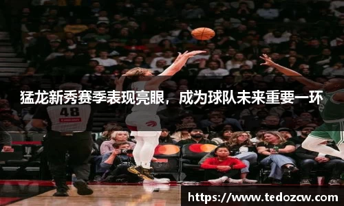 乐竞体育官网入口