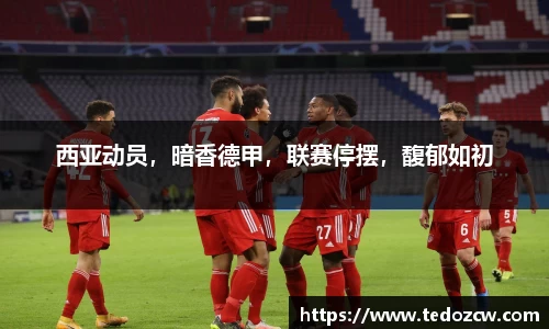 乐竞体育官网