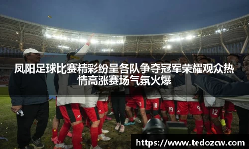 凤阳足球比赛精彩纷呈各队争夺冠军荣耀观众热情高涨赛场气氛火爆
