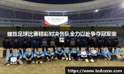 螺丝足球比赛精彩对决各队全力以赴争夺冠军荣耀